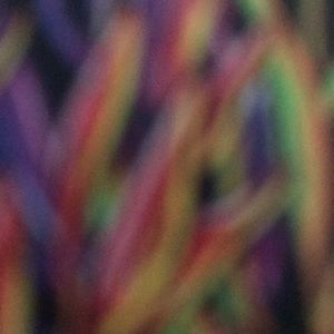 Meet your Posher, Brayden